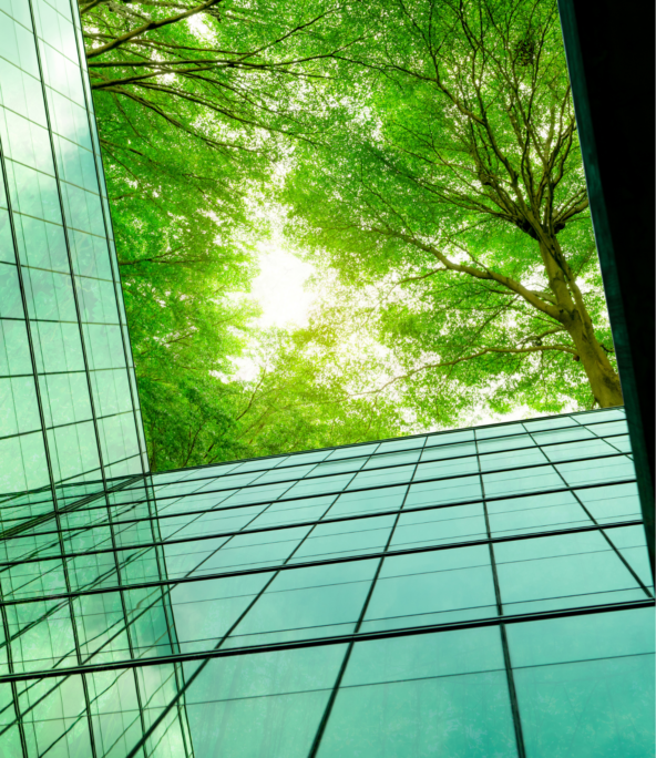 looking up at a building with trees in the background. Médecine du travail