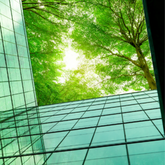 looking up at a building with trees in the background - Pérennité