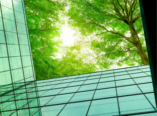 looking up at a building with trees in the background - Pérennité