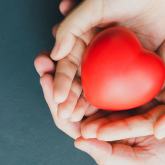 a pair of hands holding a red heart