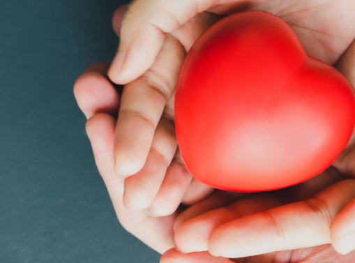 a pair of hands holding a red heart