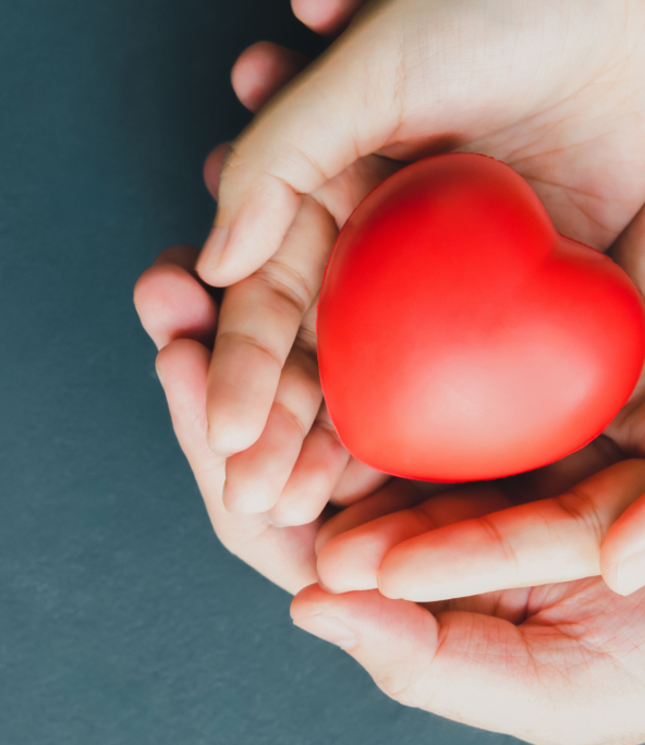 a pair of hands holding a red heart